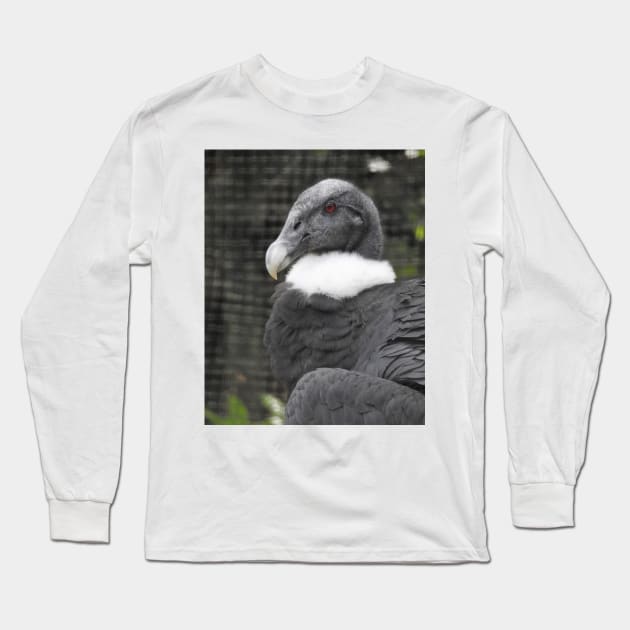 Andean Condor Long Sleeve T-Shirt by kirstybush